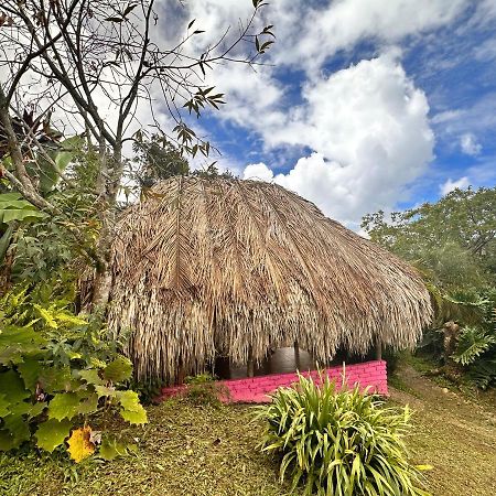 Sierra Alta Finca Boutique Villa Minca Bagian luar foto