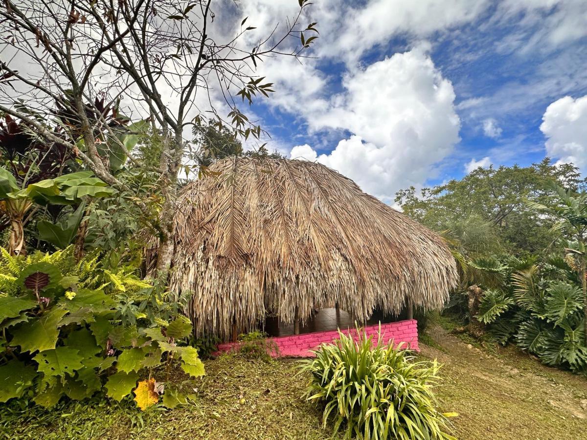 Sierra Alta Finca Boutique Villa Minca Bagian luar foto